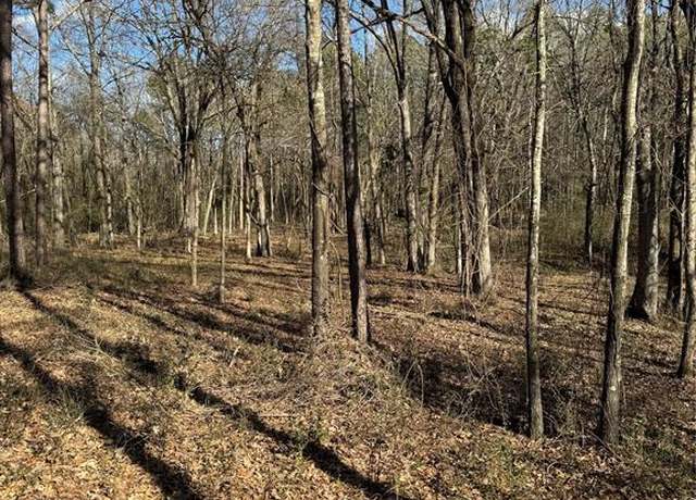 Property at Fannie Mae Lot 1 Dr, Broken Bow, OK 74728