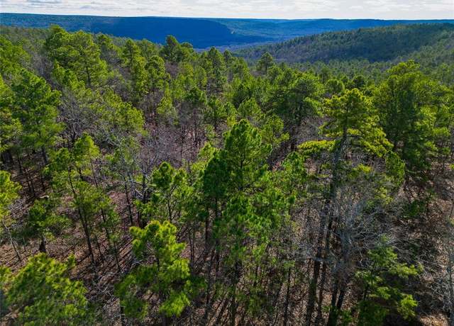 Property at Wagonwheel Rd, Daisy, OK 74540