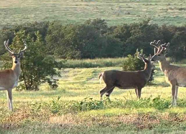 Property at 0000 State Highway 29, Foster, OK 73434