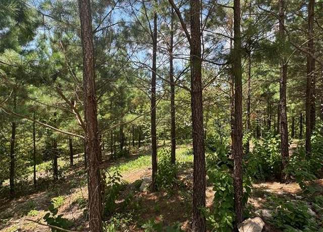 Property at 155 Charmed Ridge Ln, Broken Bow, OK 74728