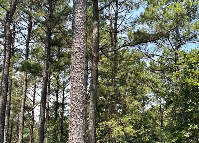 Property at 202 Crooked Cedar Trl, Broken Bow, OK 74728