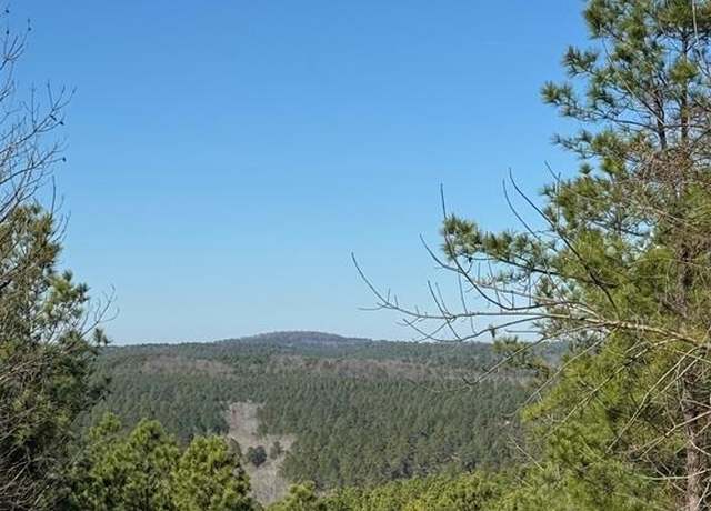 Property at 79 Vine Ct, Broken Bow, OK 74728