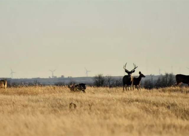 Property at 17256 E 800 Rd, Crawford, OK 73642