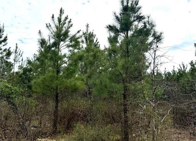Property at 152 Southern Spruce Trl, Broken Bow, OK 74728