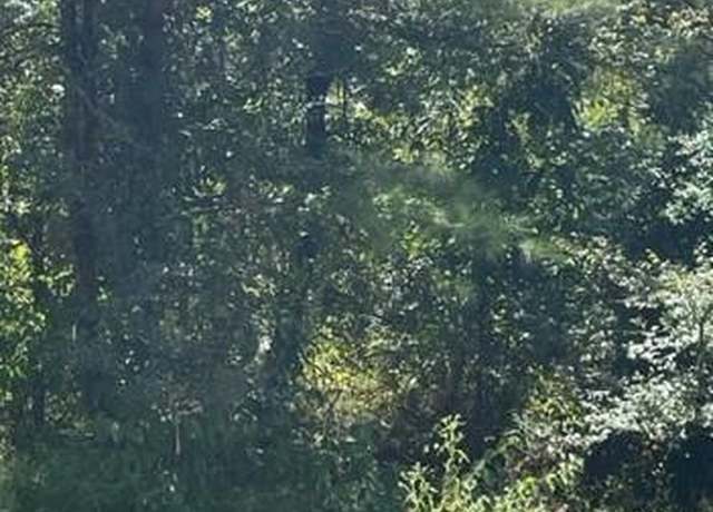 Property at 85 Top Notch Ln, Broken Bow, OK 74728