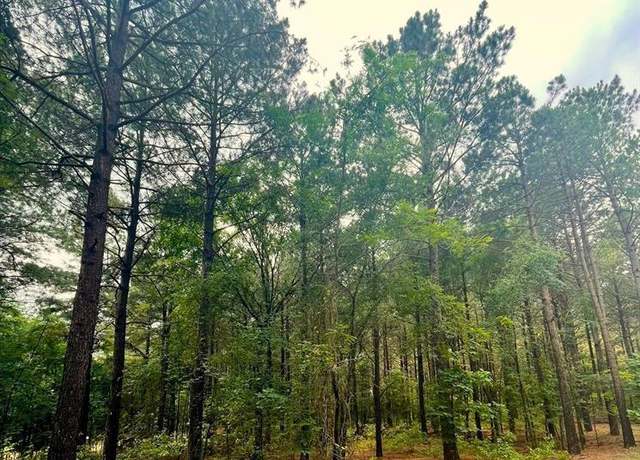 Property at 24 High Point Ct, Broken Bow, OK 74728