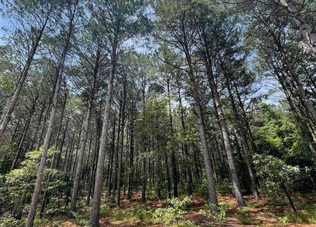 Property at 36 Pine Crest Ct, Broken Bow, OK 74728