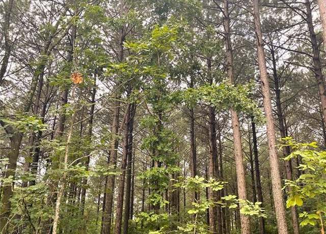 Property at 42 High Point Ct, Broken Bow, OK 74728
