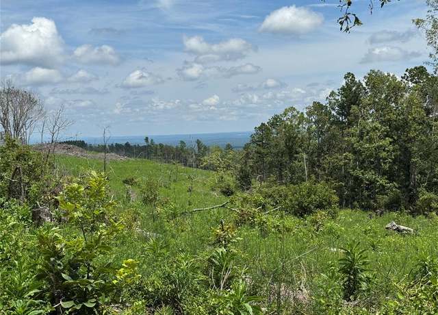 Property at Tbd, Smithville, OK 74957