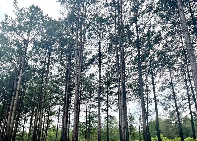 Property at 57 Upper Vista Ridge Trl, Broken Bow, OK 74728