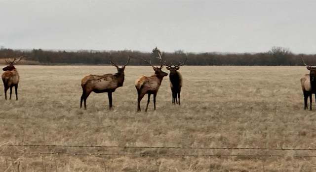 Photo of EW 1480, Cooperton, OK 73564