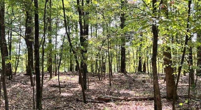 Photo of Grayling Ln, Watson, OK 74963