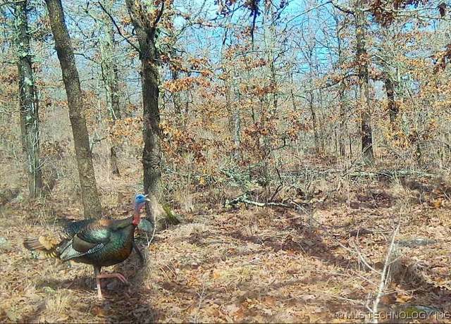 Property at County Road 1170, Weleetka, OK 74880