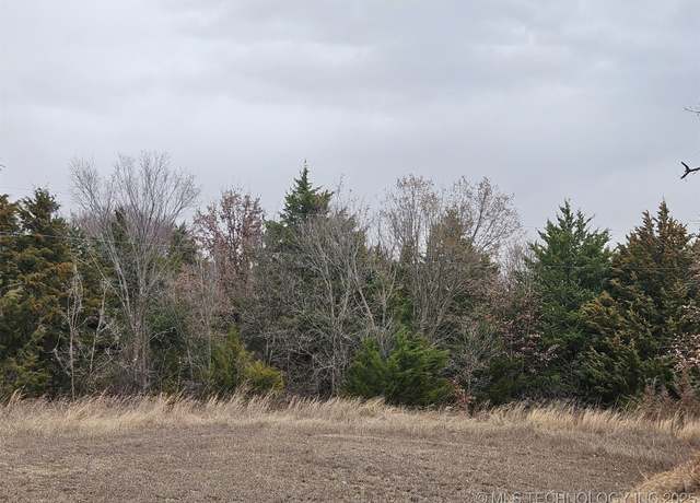 Property at Taylor, Burneyville, OK 73430