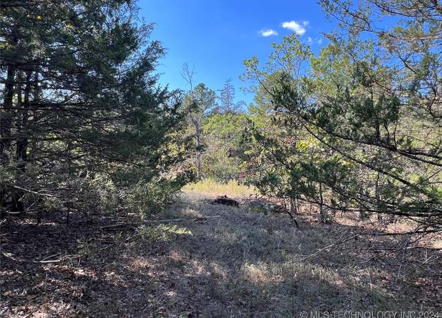 Property at Miller Jumbo, Daisy, OK 74540