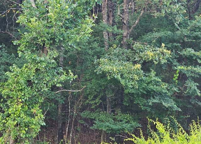Property at E Moonshine/1000 Rd, Gore, OK 74435