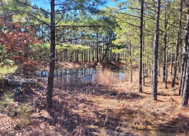 Property at Savage Rd, Haileyville, OK 74546