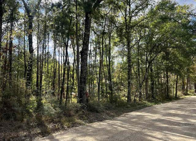 Property at Lot 53 Nesom Rd, Denham Springs, LA 70706