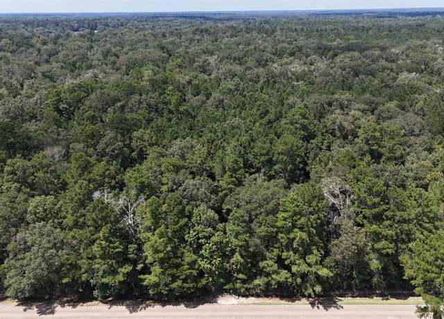 Property at Lots A-1 & A-2 Stoney Point Burch Rd, Greenwell Springs, LA 70739