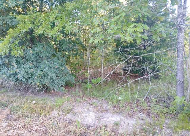 Property at TBD J B Averett Rd, Livingston, LA 70754