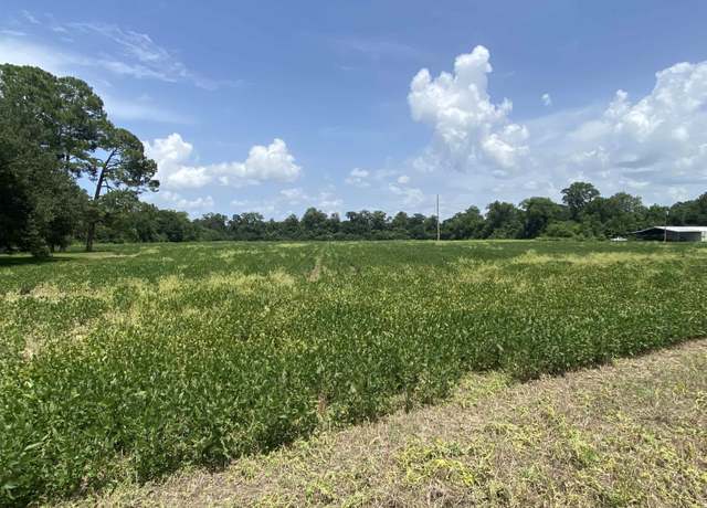 Property at 25.8 acres Maringouin Rd, Maringouin, LA 70757