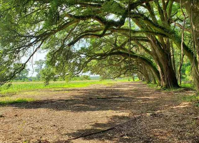 Property at 22602 Fletcher Rd, Ponchatoula, LA 70454