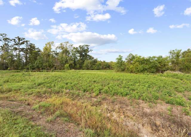 Property at TBD Lot 19-A Amite Acres, Prairieville, LA 70769