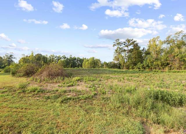 Property at TBD Lot 20-A Amite Acres, Prairieville, LA 70769