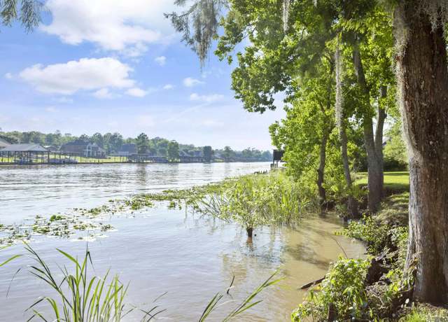 Property at Lot 8 Diversion Canal Rd, St Amant, LA 70774