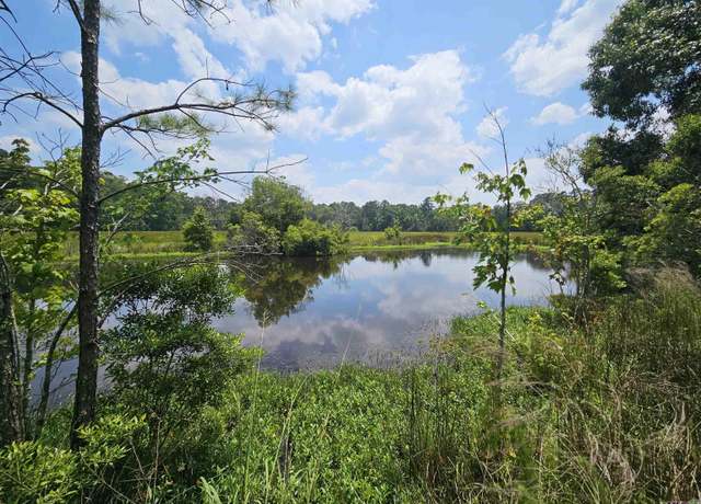 Property at tbd Chaney Rd, Zachary, LA 70791