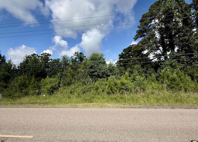 Property at TBD Tract AP-1 Reinninger Rd, Denham Springs, LA 70706