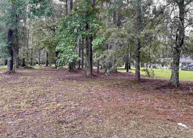 Property at 31387 River Pines Dr, Springfield, LA 70462