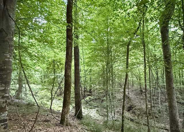 Property at 8145 Gordon Station Rd, Port Gibson, MS 39150