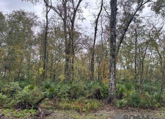 Property at 6-B Prince Rd, St Amant, LA 70774
