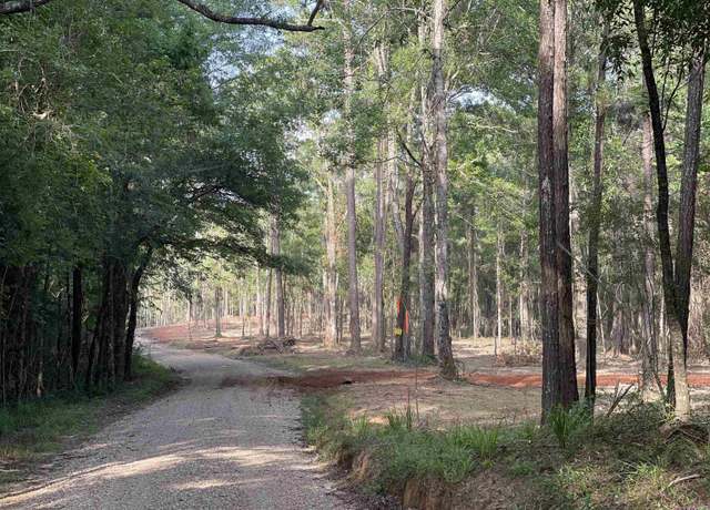 Property at 7987 Hepzibah Rd, Clinton, LA 70722