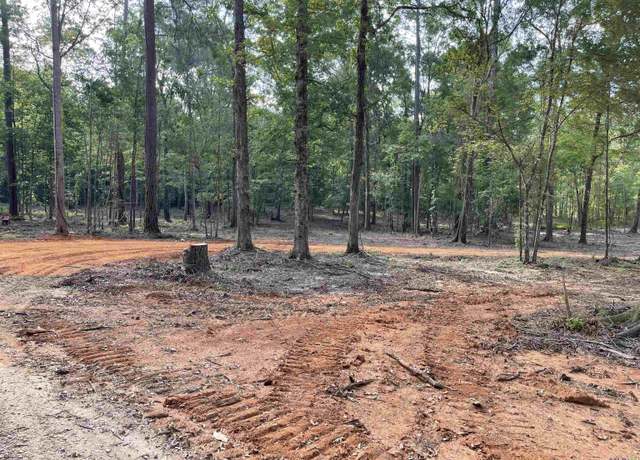 Property at 8177 Hepzibah Rd, Clinton, LA 70722