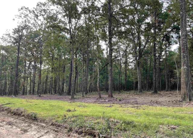 Property at 8105 Hepzibah Rd, Clinton, LA 70722