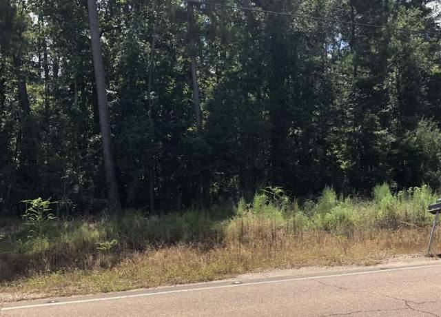 Property at TBD La Hwy 447, Walker, LA 70785