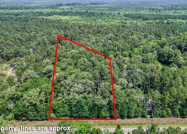 Property at La Hwy 42, Livingston, LA 70754