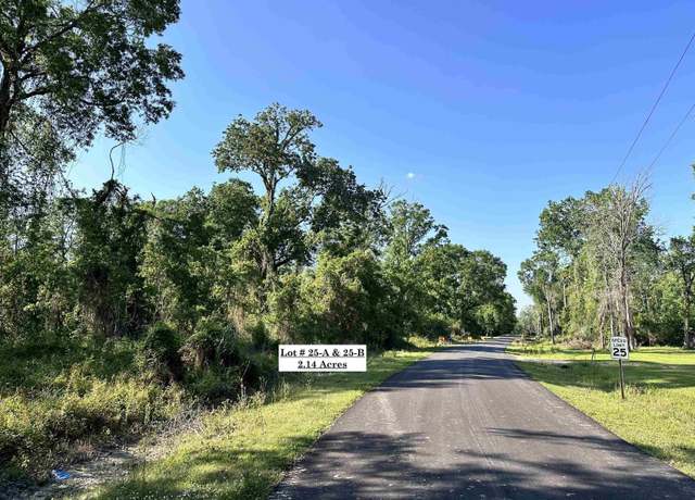 Property at Lot#25-A & 25-B Summerfield South Rd, Prairieville, LA 70769