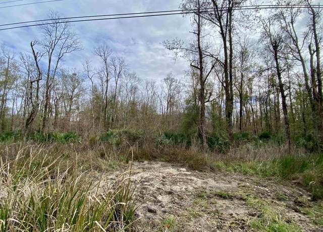 Property at 10 Acres La Hwy 22, Maurepas, LA 70449