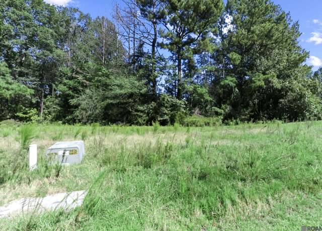 Property at 13803 Wood Duck Way, St Francisville, LA 70775