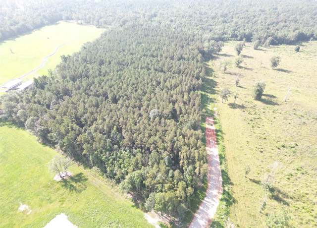 Property at LOT 3 Critter Cove Ln, Livingston, LA 70754