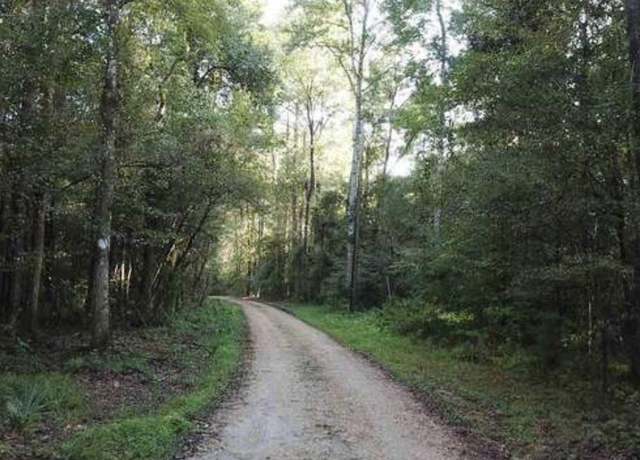 Property at 19425 Grantham Rd, Livingston, LA 70754