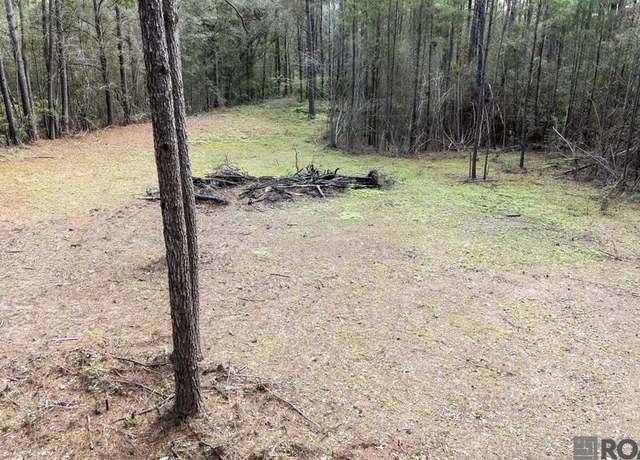 Property at Browns Rd, Folsom, LA 70437