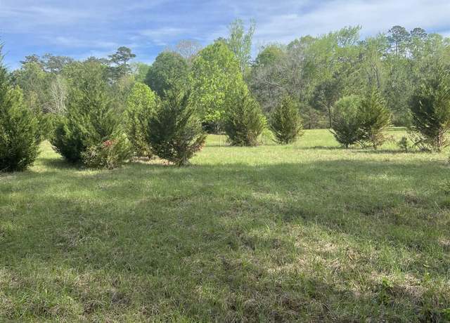 Property at TBD G-2 Idlewild Rd, Clinton, LA 70722