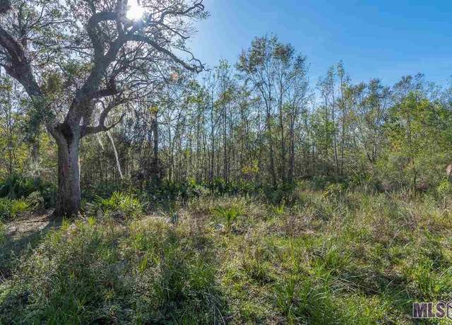 Property at 49267 Hwy 22, St Amant, LA 70774