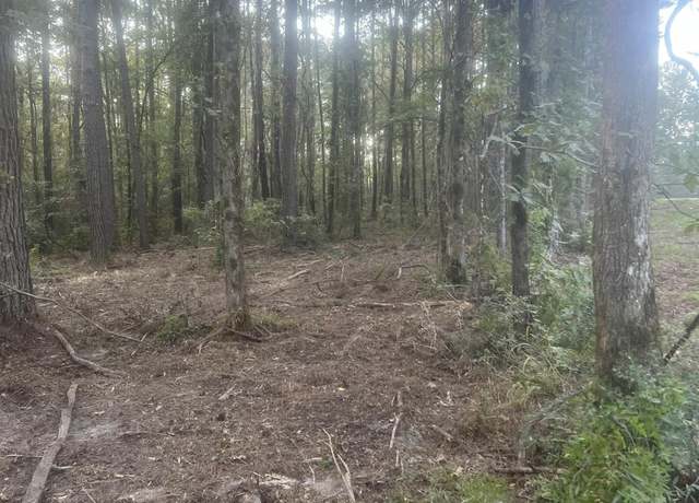 Property at TBD-B2-A La Hwy 10, Clinton, LA 70722