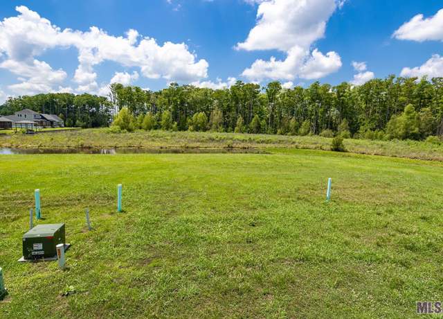 Property at 18986 S St Croix Ct, Maurepas, LA 70449