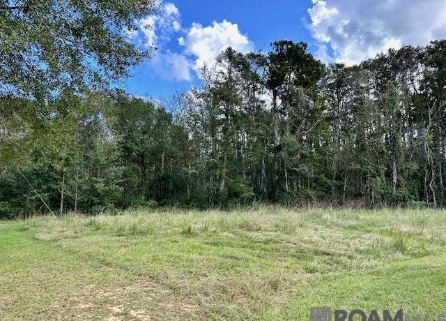 Property at 19348 Plantation Trace Dr, Livingston, LA 70754